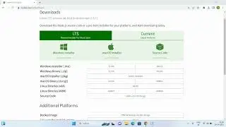 node js and npm installation in windows 11 || nodeJs installation ||  npm installation