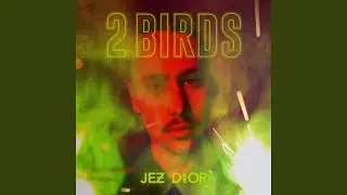 2 Birds