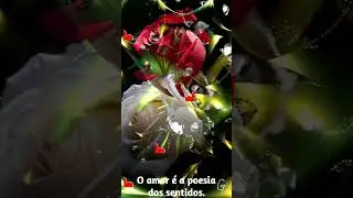 Quando existe amor...