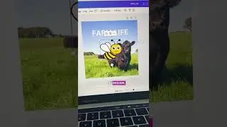 Canva tutorial - how to animate your images