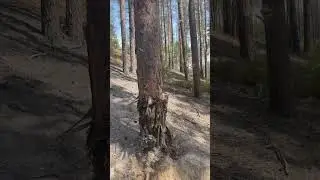 Что то прилетело не понятное 😲