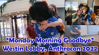 Anthrocon 2022 Monday Morning Goodbye Fursuiting (Westin Lobby)