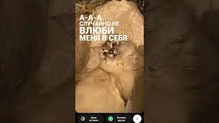 31 января 2023 г.