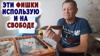Вспоминая случай на охоте. Немало повидал за срок.