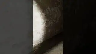 БЛ.... НАМ КОНЕЦ... 