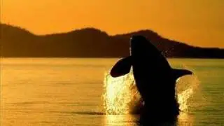 Orca:Killer Whale (soundtrack)