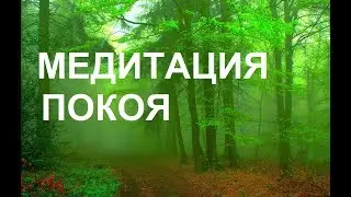 МЕДИТАЦИЯ ПОКОЯ. Стирание Негативных Программ.