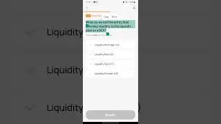 What do we call the entity that provides liquidity to the liquidity pool on a DEX?