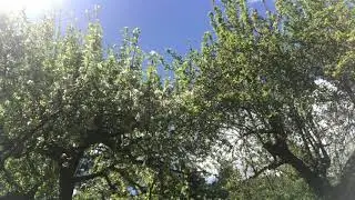 Connect & Glow: Forgiveness