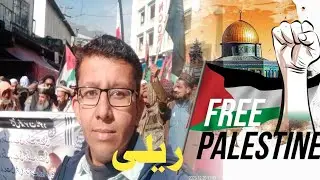 Free palestine rali Bagh Azad kashmir |  قومی یکجہتی ریلی باغ آزاد کشمیر | Owaisalitv #palastine