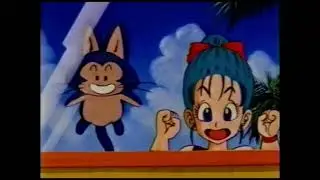 Toonami Weekdays on Cartoon Network — 