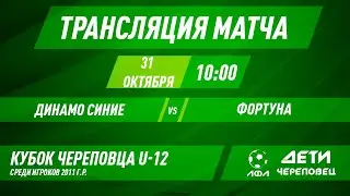 Динамо Синие - Фортуна | Прямая трансляция | Кубок Череповца 2011г.р.
