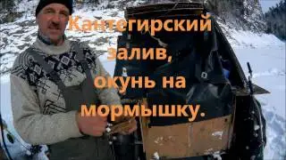 Саяно-Шушенское водохранилище, окунь на мормышку.