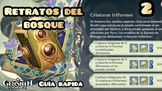RETRATOS DEL BOSQUE (2) | Captura criaturas triformes | Sumeru | Inocencia escultórica