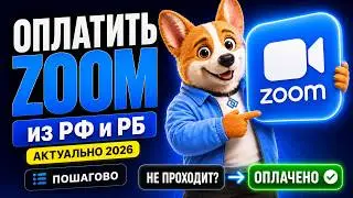 Как оплатить Zoom из России? Подробная инструкция