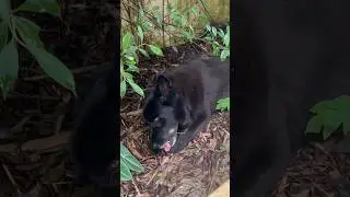 ЗАНАЧКА НЕДЕЛЬНОЙ ДАВНОСТИ 🤦‍♀️