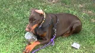 Eli chewing on a bottle