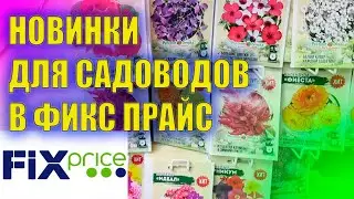 I successfully visited Fix Price We brought a lot of new products for gardeners and summer residents