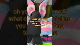 Packing a Transgender Bat Plushie🏳️‍⚧️🦇#transgender #bat #smallbusiness #trans at skyebluezcom