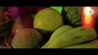 "Ganpati Stotra" Vakratund mahakay...