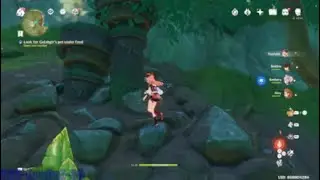 Sumeru Commission Quest - Project Baby | the Tree camp (Genshin impact )
