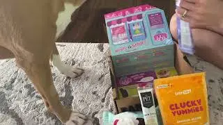 Barkbox May 2022 Opening | Boops n Scoops