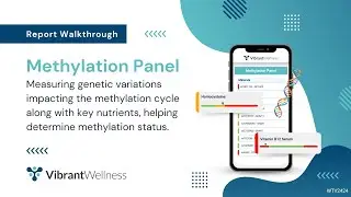 Vibrant's Methylation Panel - Report Walkthrough