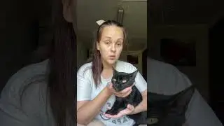 Больше видео в инст:@lina.tet