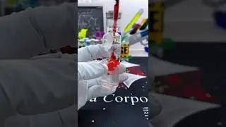 Experiment Video