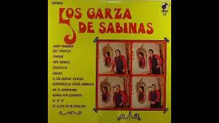LOS GARZA DE SABINAS   