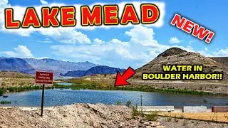 Lake Mead Update - INCREDIBLE Before and After  | Hurricane Hilary, The Linq FLOODING Las Vegas...