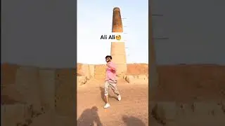 Ali Haiderabadi tiktok