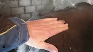 Готовимся к пополнению.