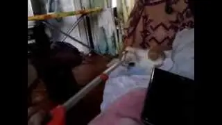 Кот и котохваталка