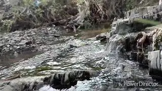 Experience an untouched nature in HD | B Roll sequence