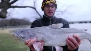 Catfishing During WASHINGTON DC PROTESTS!! Catching Blue Catfish on Bluegill in DC! (CAPITOL RAID)