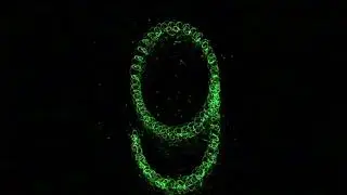 Call of Duty Black Ops Tribute: Listen to the Numbers...