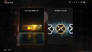 野良猫は眠らない♪ COD BO6