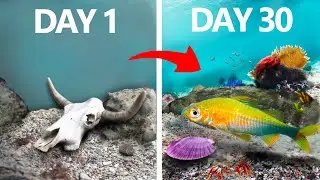 I Simulated an Ocean for 30 Days