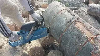 Makita Chainsaw in Dirty Wood #chainsaw #drujba #makita