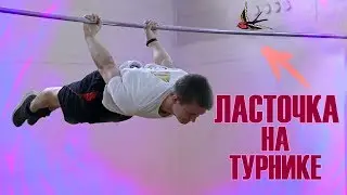 How to learn a swallow? │ Backward Lash │ Tutorial