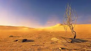 No copyright video desert scenes background footage