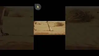 İmam Ən-Nəvəvinin 40 hədis adlı kitabından 1-ci hədis (əməllər niyyətlərə görədir.)