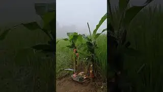 ಭೂಮಿ ಪೂಜೆ💚🌿🍀🌴🌱🌾