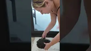 We saved a turtle🐢
