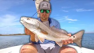 Sight Fishing The Lowcountry For Schooling Redfish