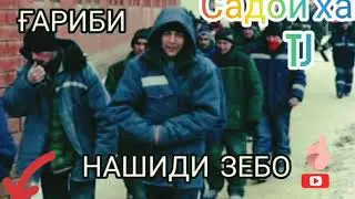 Бехтарин нашиди ғариби