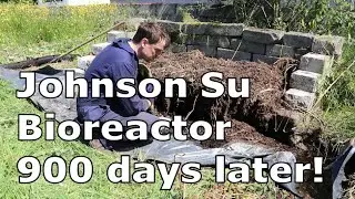 Johnson-Su Bioreactor - 900 Days Later | Is it worth the effort?