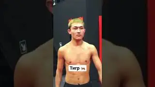 Безумный Паша ТИГР 🐅