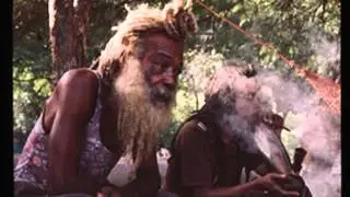 Hiiro - Herb